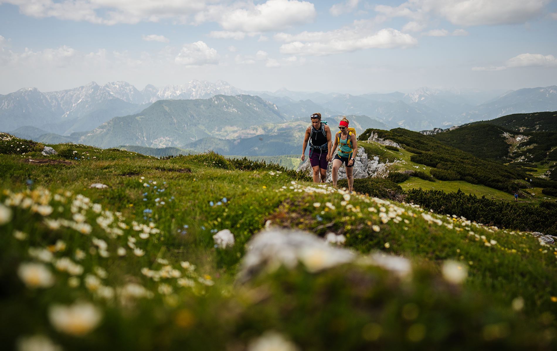Wandern auf der Petzen Wandern auf der Petzen