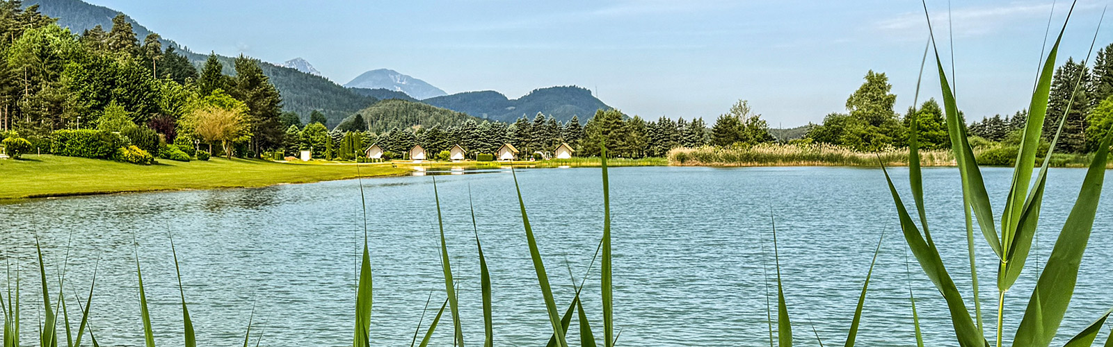 Sunrise Lake Area